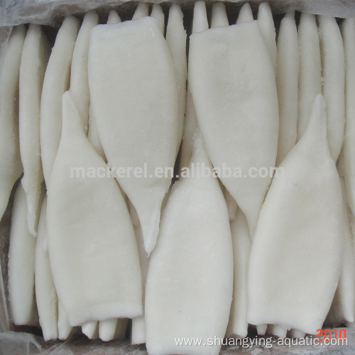 Iqf Frozen Calamari Squid Tube With 40% Glazing